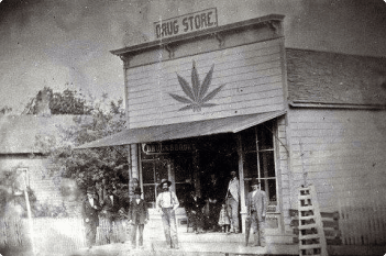 North Carolina cannabis history