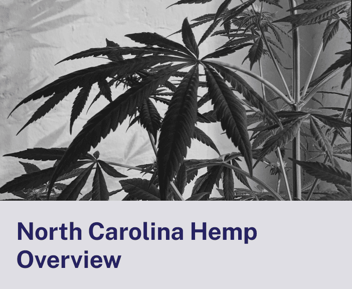 North Carolina Hemp Overview