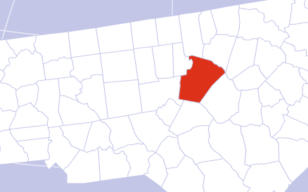 Wake County Cannabis Overview